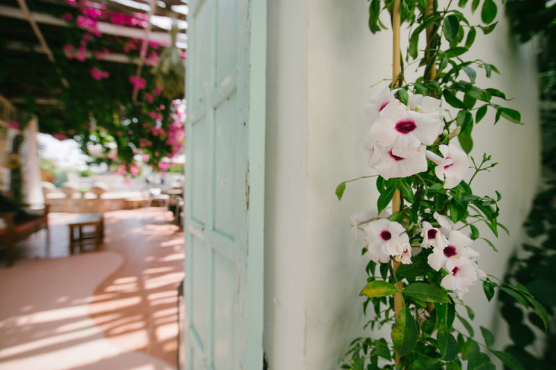 Gorgona Studios Faliraki Exteriér fotografie